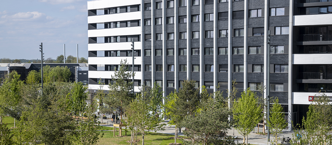 Tugec Ingénierie - Quartier de l’école polytechnique à saclay (91)